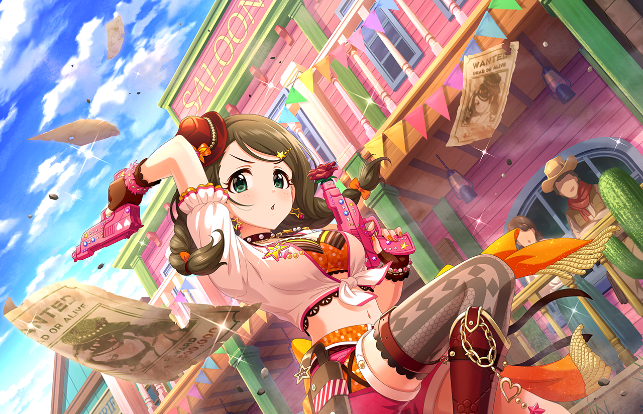 Idol: Akanishi Erika (sldb)